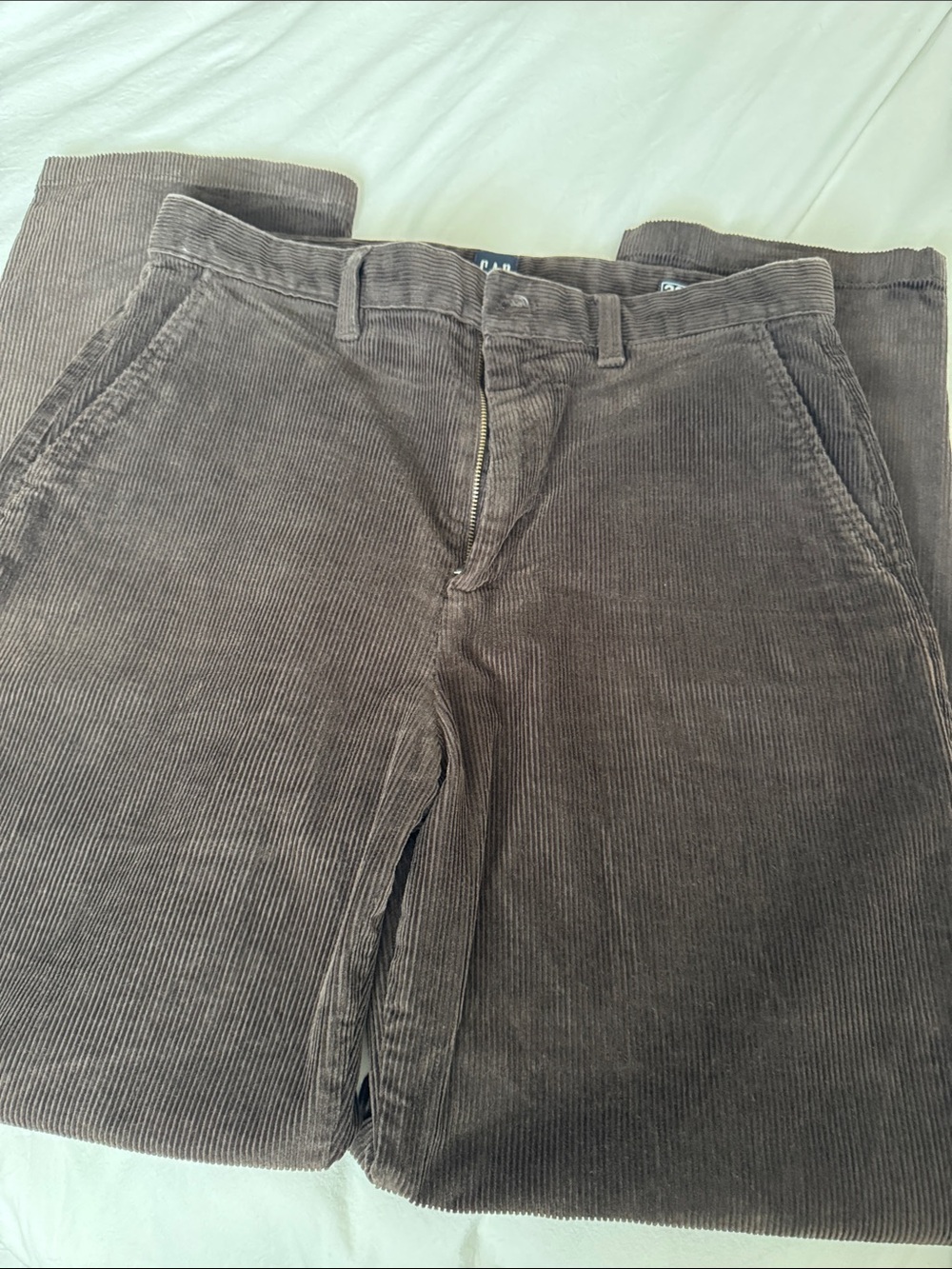 GAP Men's Corduroy Pants in Dark Brown